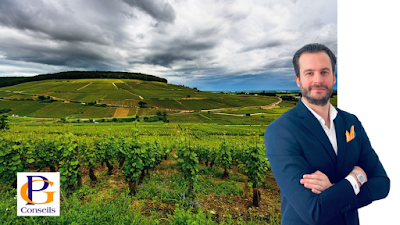 PG Conseils Pierre Gallet à Beaune