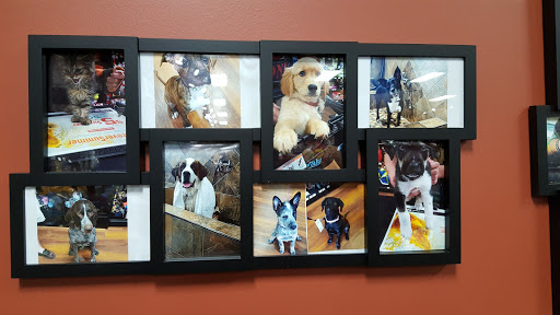 Pet Supply Store «Pet Valu», reviews and photos, 3437 Center Rd, Brunswick, OH 44212, USA