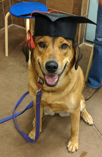 Pet Supply Store «PetSmart», reviews and photos, 7029 SW Nyberg St, Tualatin, OR 97062, USA