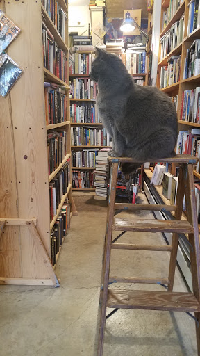 Book Store «Rust Belt Books», reviews and photos, 415 Grant St, Buffalo, NY 14213, USA