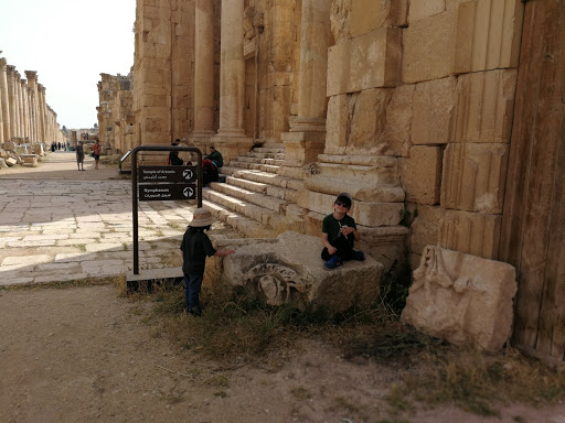 Movie Theater «AMC Mayfair Mall 18», reviews and photos, 2500 N Mayfair Rd M186, Wauwatosa, WI 53226, USA