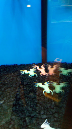 Pet Store «Pet Depot», reviews and photos, 10008 Memorial Pkwy SW, Huntsville, AL 35803, USA