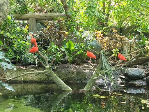 Zoo «Rainforest Pyramid», reviews and photos, 1 Hope Blvd, Galveston, TX 77554, USA