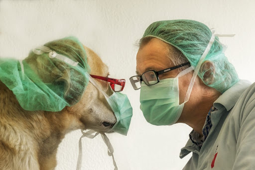 Tierärztliche Praxis - Dr. med. vet. Philipp Krug unter Kelkheim, Hessen