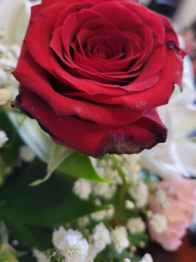 Florist «A-Apple Blossom Florist», reviews and photos, 566 S Decatur Blvd, Las Vegas, NV 89107, USA