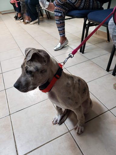 3130 Summit Ave, Union City, NJ 07087, USA