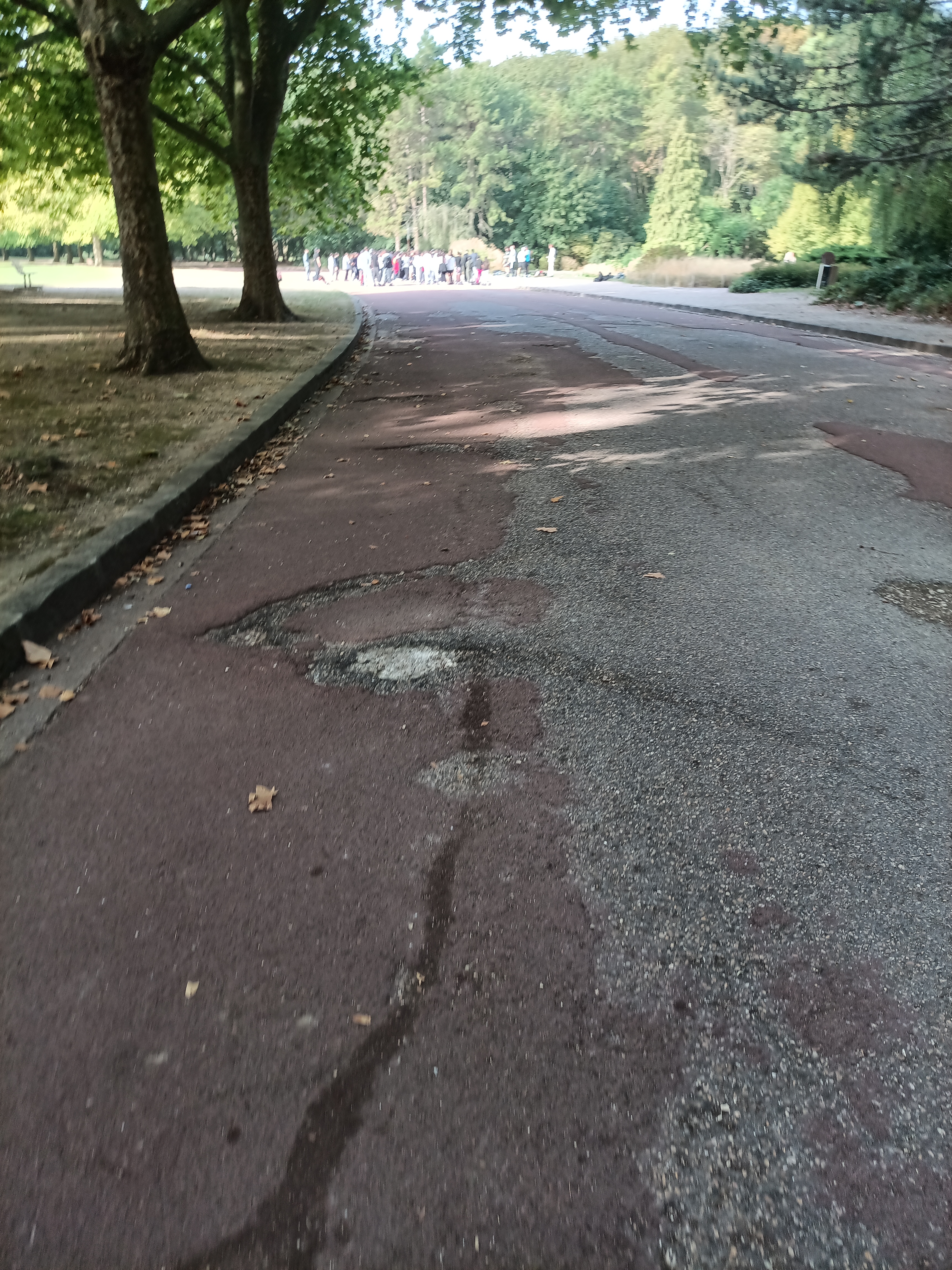 Photo n° 33 de l'avis de ini.e fait le 29/07/2023 à 12:14