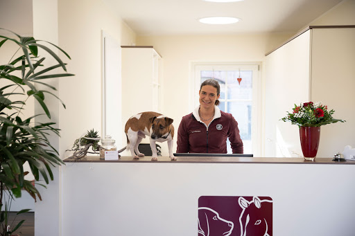 Dr. Andrea Sanders unter Erkelenz, 