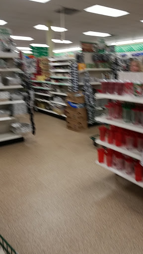 Dollar Store «Dollar Tree», reviews and photos, 8653 Columbus Pike, Lewis Center, OH 43035, USA