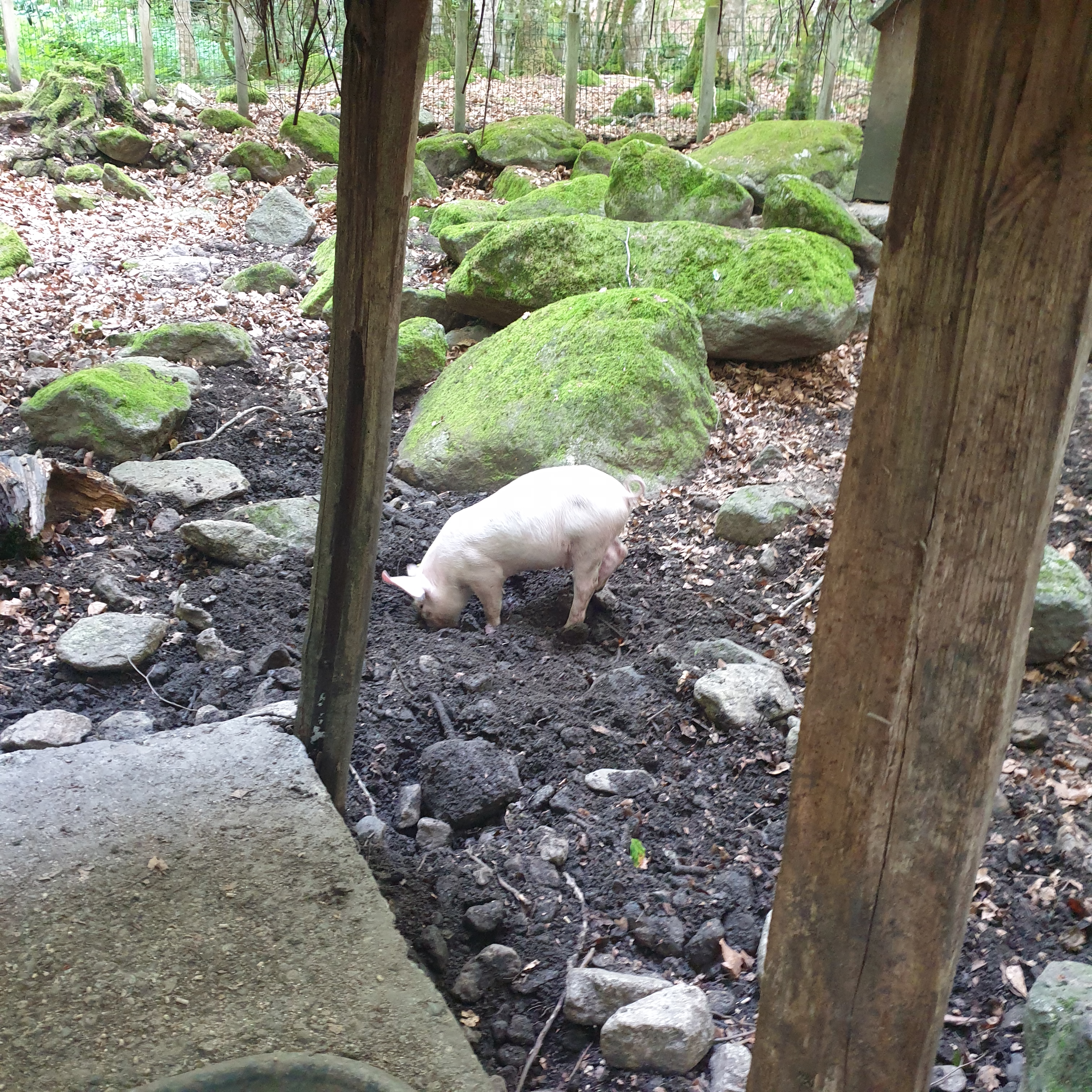 Photo n° 11 de l'avis de Manon.R fait le 17/10/2022 à 07:25