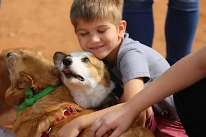 San Angelo Dog Park image