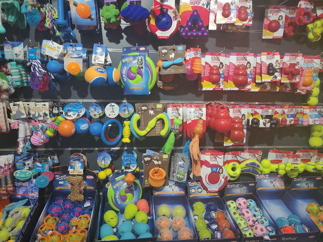 The Pet Mart - Εκπαιδευτής σκύλου