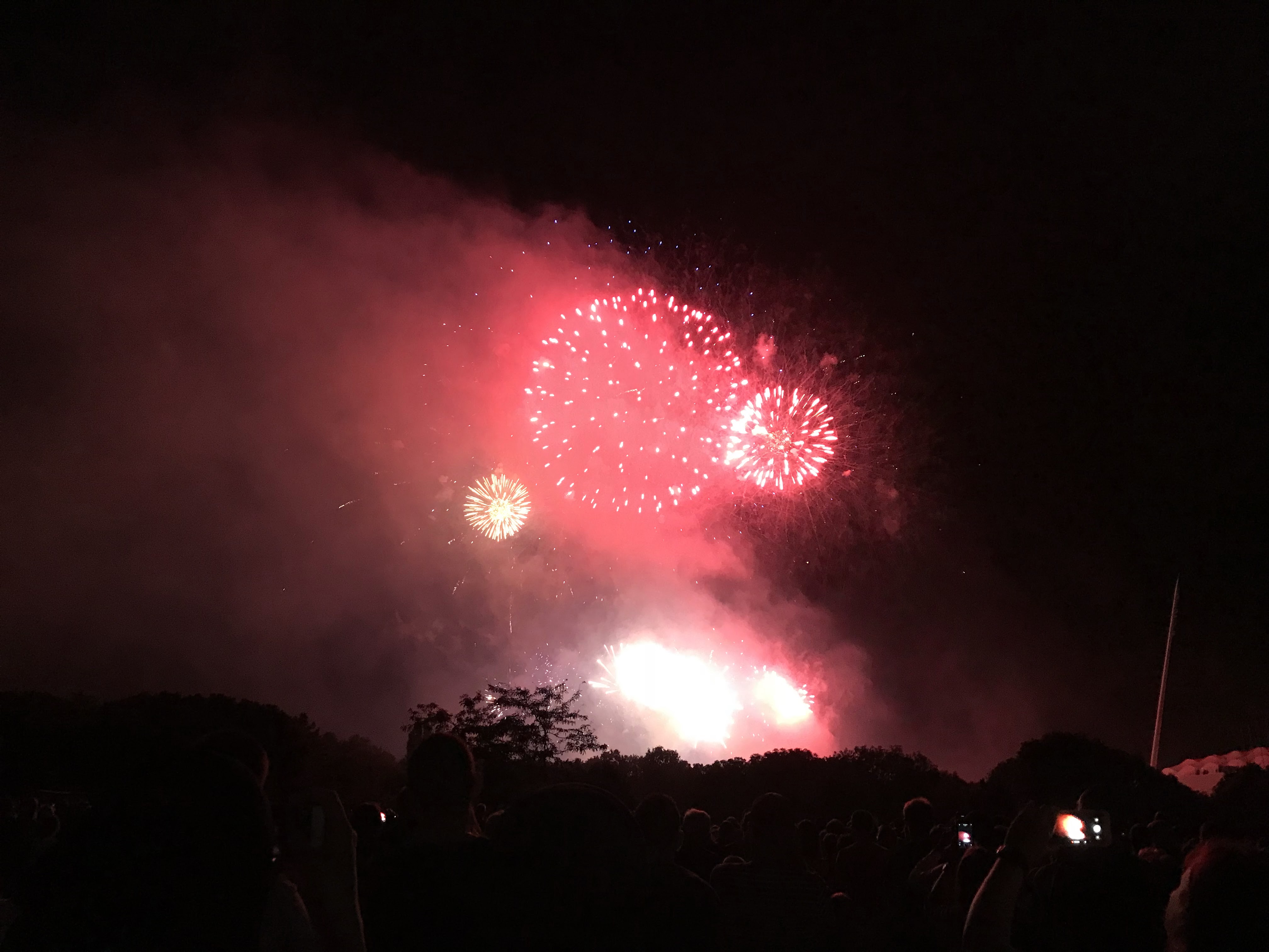 Photo n° 1 de l'avis de E. fait le 14/07/2018 à 15:09