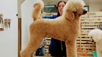 Doggy, peluqueria canina y tienda natural para mascotas - Servicios para mascota en Sarriguren