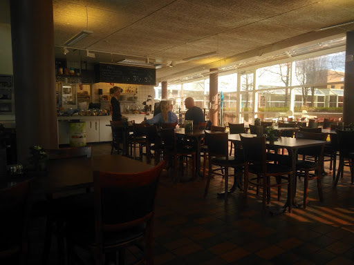 Cafe Hyggestunden V/pia Sørensen in Frederikshavn, Viborg