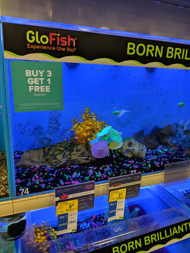 Pet Supply Store «PetSmart», reviews and photos, 2440 E Charleston Rd, Mountain View, CA 94043, USA