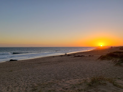 Punta Piedras