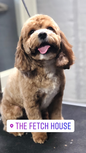 Pet Groomer «The Fetch House», reviews and photos, 130 W Washington St, Madison, GA 30650, USA