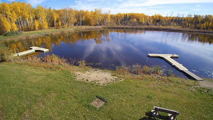 Grovedale Fish Pond