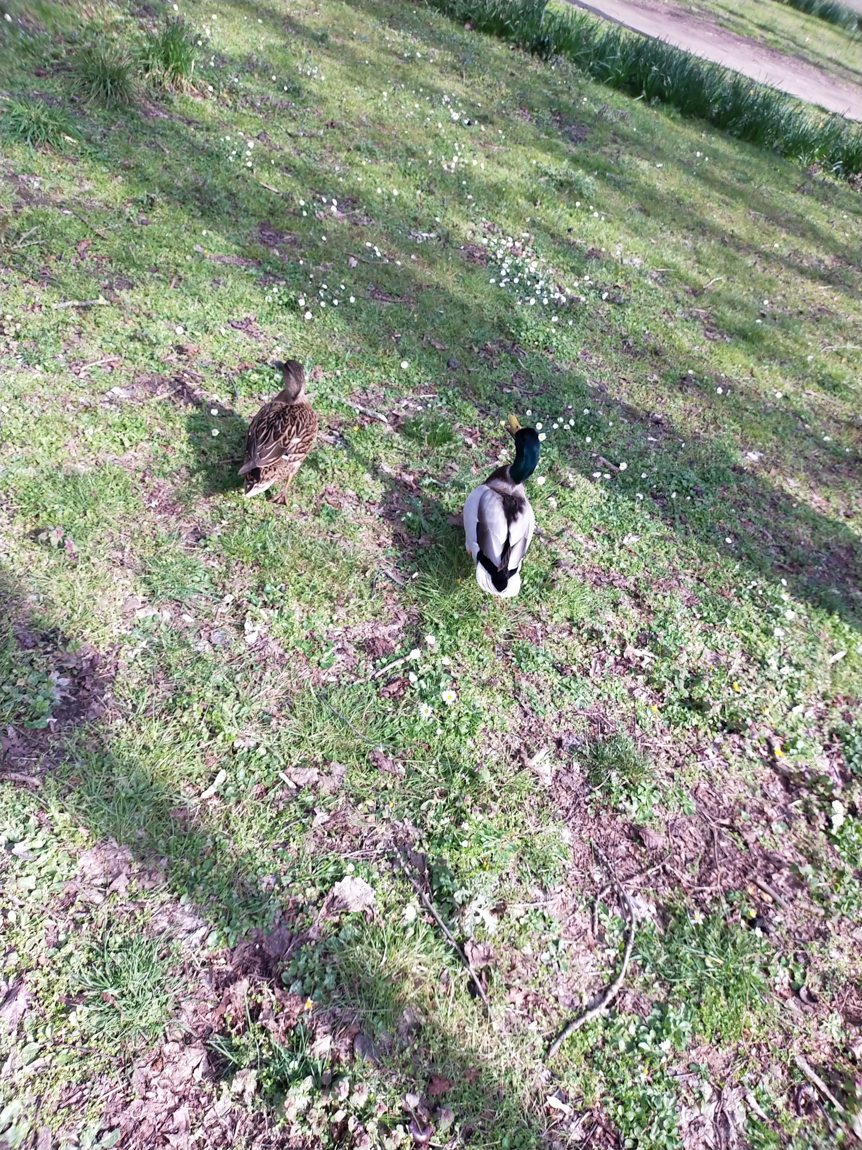 Photo n° 1 de l'avis de Aude. fait le 20/03/2021 à 11:43
