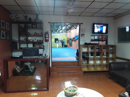 Instituto Panameño de Taekwondo