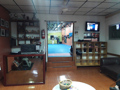 Instituto Panameño de Taekwondo