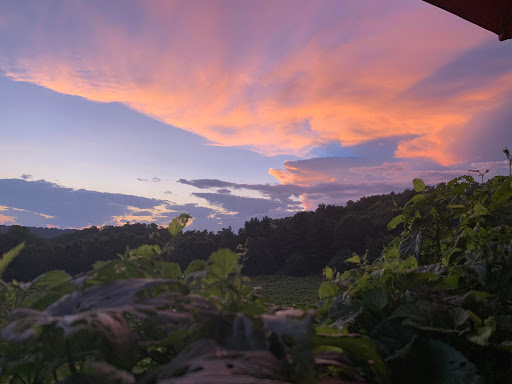 Winery «Falconer Vineyards», reviews and photos, 3572 Old Tyler Rd, Red Wing, MN 55066, USA