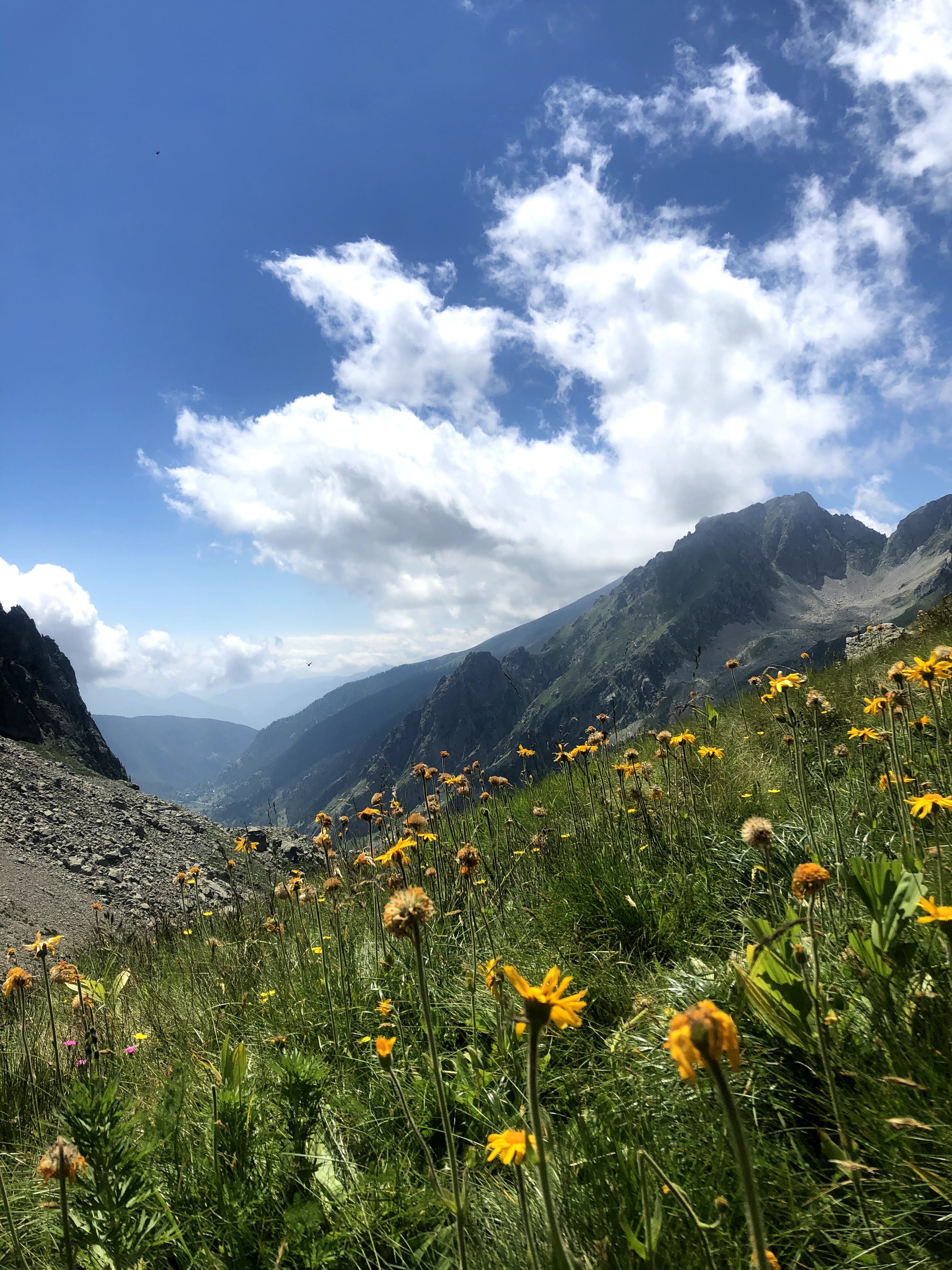 Photo n° 2 de l'avis de Virgile. fait le 28/07/2020 à 18:10