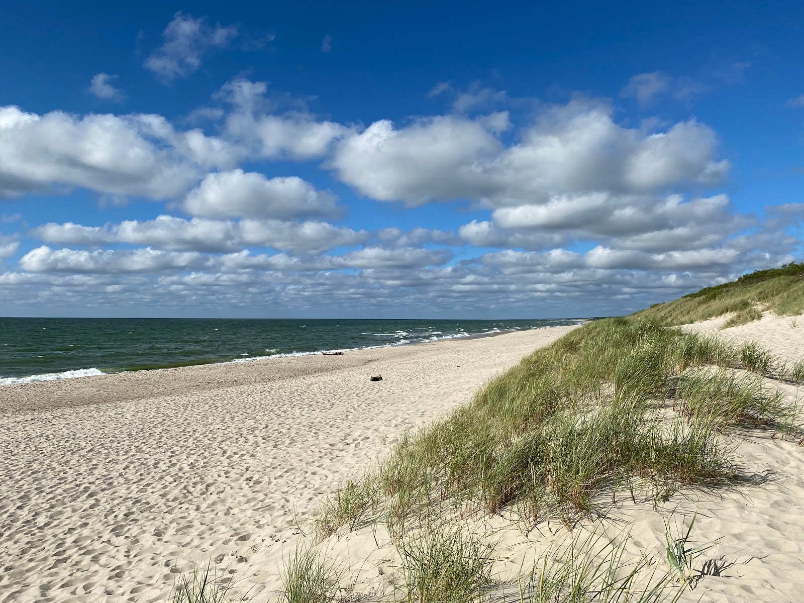 Fotografija Rosa beach z svetel pesek površino