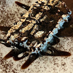 Photo n°1 de l'avis de Deiana.l fait le 09/08/2023 à 20:41 sur le  da Gerry à Genoa