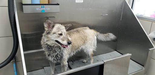 Pet Supply Store «Pet Supplies Plus», reviews and photos, 9430 W 159th St, Orland Park, IL 60467, USA