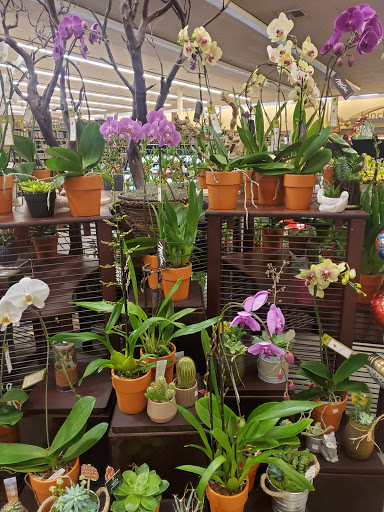 Grocery Store «Vons», reviews and photos, 26518 Bouquet Canyon Rd, Saugus, CA 91350, USA