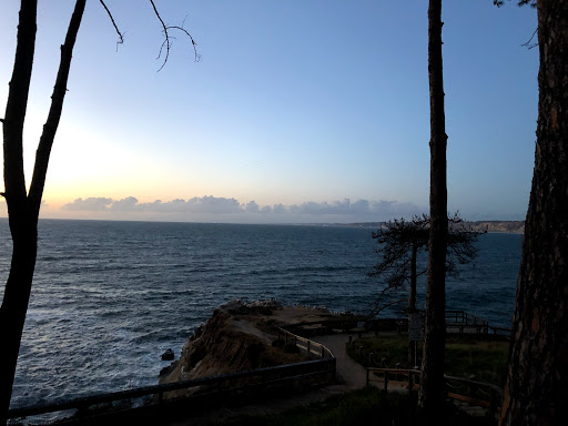 Coffee Shop «ZUMBAR Coffee & Tea», reviews and photos, 10920 Roselle St, San Diego, CA 92121, USA