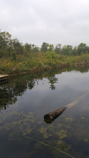 Nature Preserve «Cincinnati Nature Center», reviews and photos, 4949 Tealtown Rd, Milford, OH 45150, USA