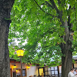 Photo n°2 de l'avis de Grischdl.. fait le 01/07/2023 à 20:41 sur le  Gasthaus Brandeck, Biergarten, die alte Brauereigaststätte à Offenburg