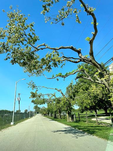 Golf Course «City of Dayton Golf», reviews and photos, 2917 Berkley St, Dayton, OH 45409, USA