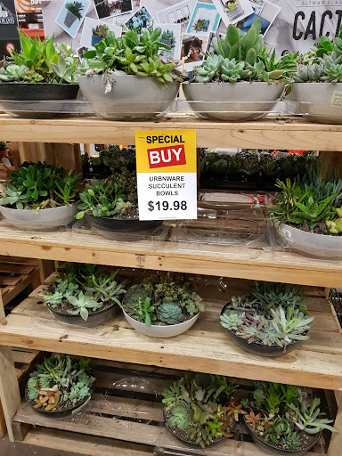 Home Improvement Store «The Home Depot», reviews and photos, 150 Mountaineer Dr, Stroudsburg, PA 18360, USA