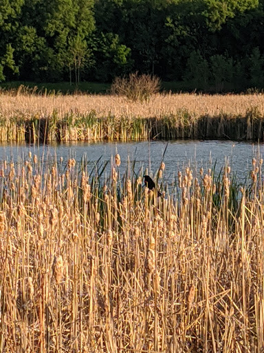 Nature Preserve «Rudy Kraemer Nature Preserve», reviews and photos, 12799 Chowen Ave S, Burnsville, MN 55337, USA