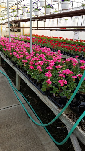 Florist «Frankstown Gardens», reviews and photos, 10158 Frankstown Rd, Pittsburgh, PA 15235, USA