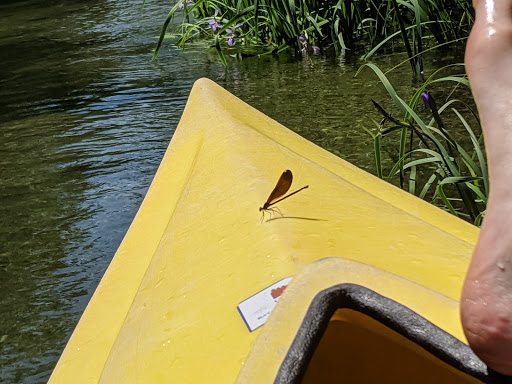 Canoe & Kayak Rental Service «Crystal River Outfitters Recreational District», reviews and photos, 6249 River Rd, Glen Arbor, MI 49636, USA