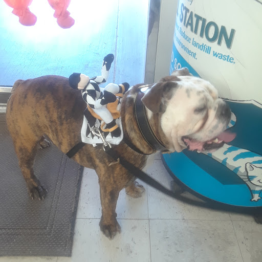 Pet Supply Store «Pets Plus», reviews and photos, 17440 Crenshaw Blvd, Torrance, CA 90504, USA