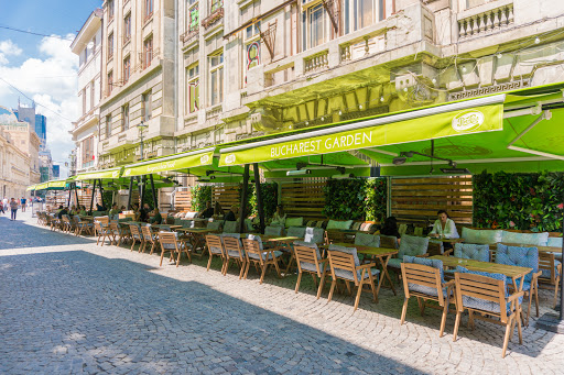 Bucharest Garden