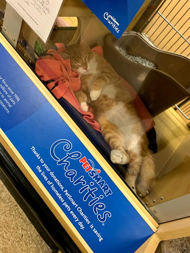Pet Supply Store «PetSmart», reviews and photos, 4180 US-1, Monmouth Junction, NJ 08852, USA