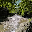 East Ithaca Nature Preserve