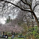 Photo n° 8 de l'avis de Alexandre.e fait le 10/11/2019 à 20:58 pour Square des Saint-Simoniens à Paris