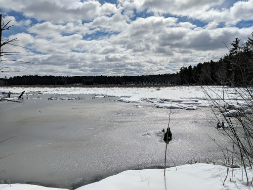State Park «Lowell-Dracut-Tyngsborough State Forest», reviews and photos, Trotting Park Rd, Dracut, MA 01826, USA