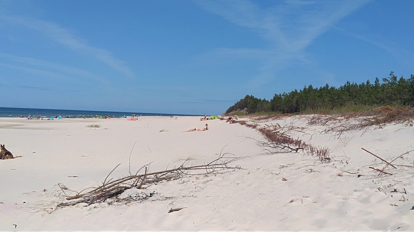 Photo of Osetnik Beach located in natural area