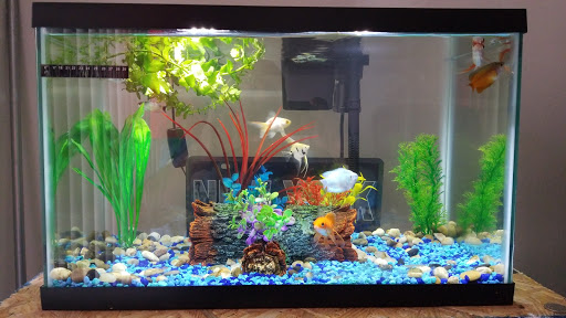 Tropical Fish Store «Neighborhood Fish Farm», reviews and photos, 12150 SW 45th St, Miami, FL 33175, USA