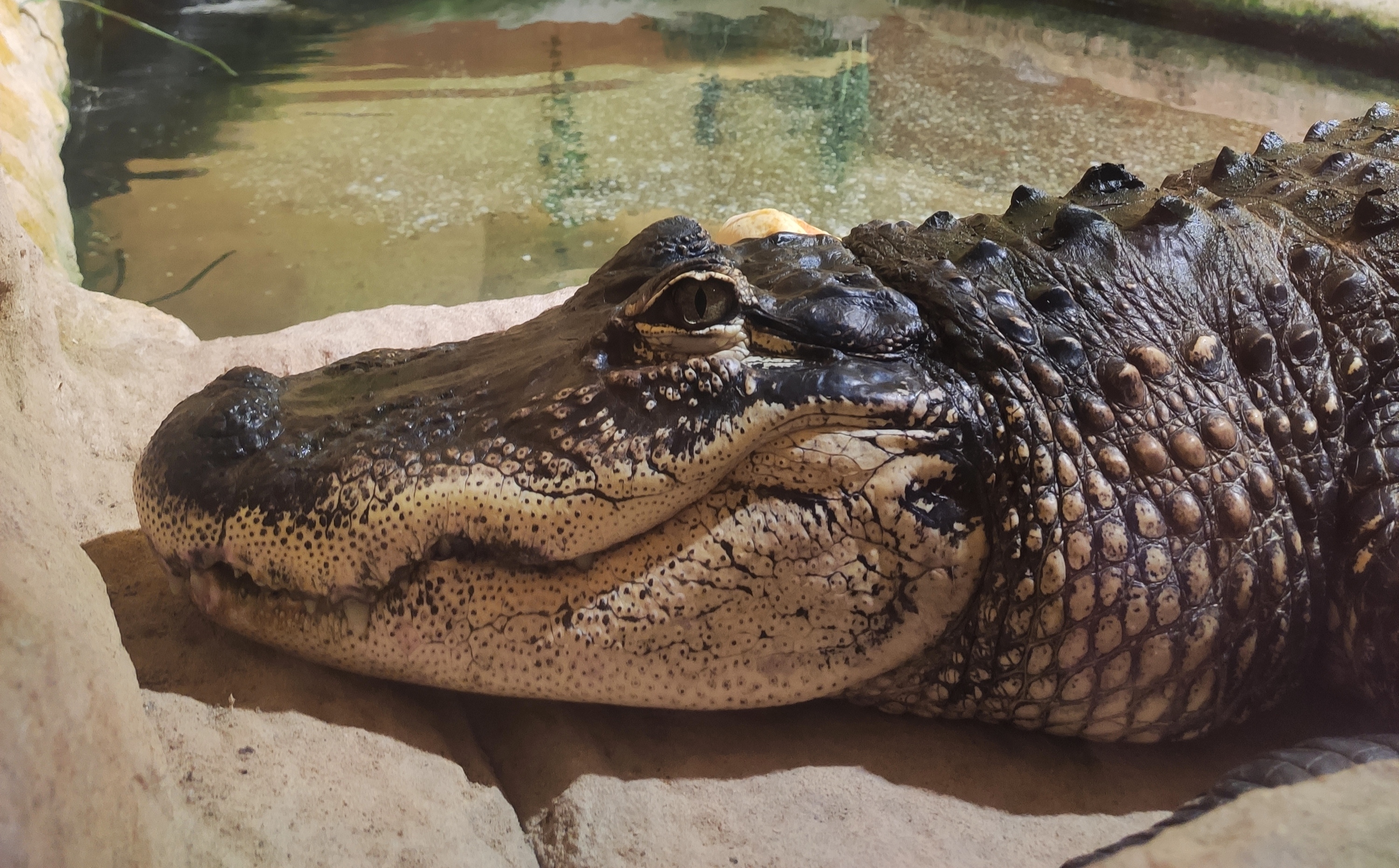 Photo n° 2 de l'avis de Chloé.z fait le 03/06/2022 à 06:31