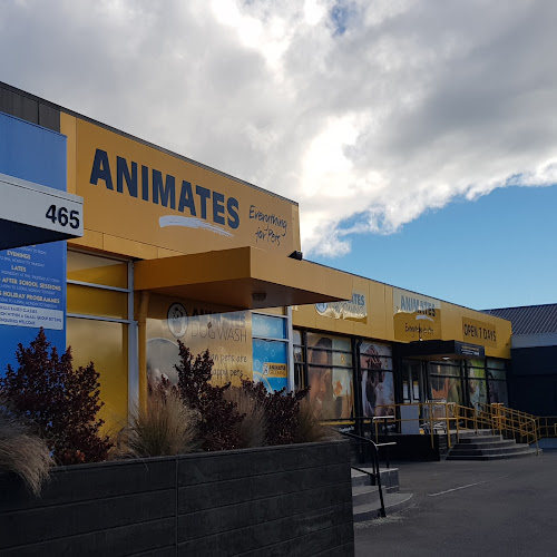 Animates Papanui - Pet store in Christchurch, New Zealand 